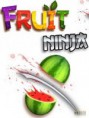 Top 10 ninja fruit Java Touch